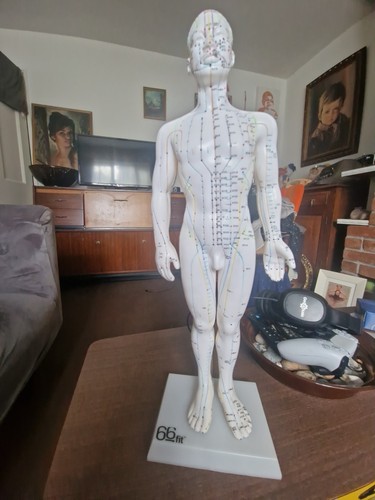 66fit male acupuncture - 66fit™,