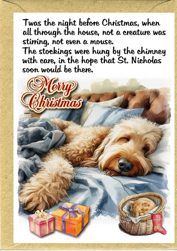 Golden doodle labradoodle - doodle, dog