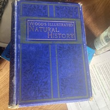 Illustrated Natural History Book By The Rev J G Wood 1872 