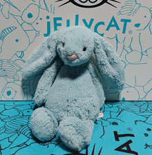Jellycat Small Bashful Aqua