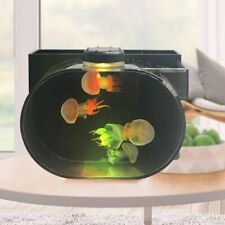 Oval Mini Desktop Jellyfish