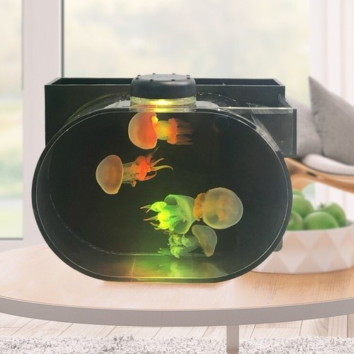 Oval mini desktop - oval,