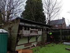 Racing Pigeon Shed