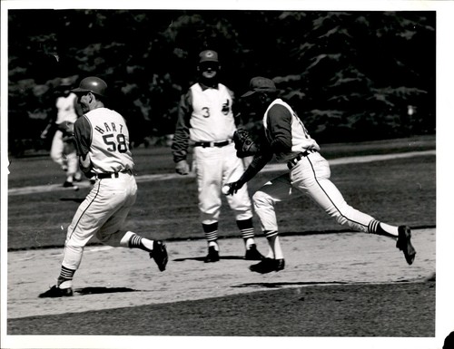 Ld343 1968 original - ld343, photo