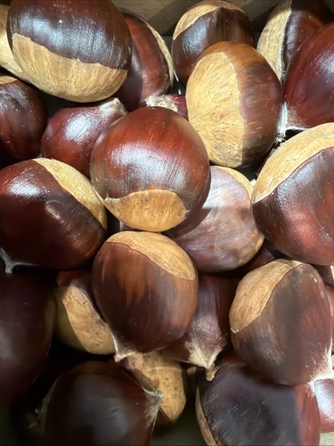 Dorset fresh sweet - dorset,