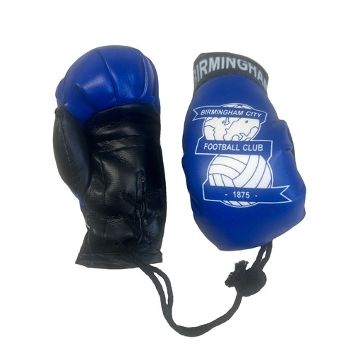 Birmingham city mini boxing - city,