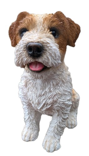 Vivid arts wire haired - vivid,