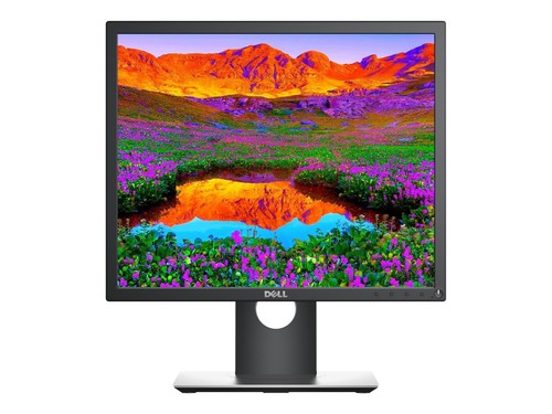 Dell p1917s 1024p - p1917s,