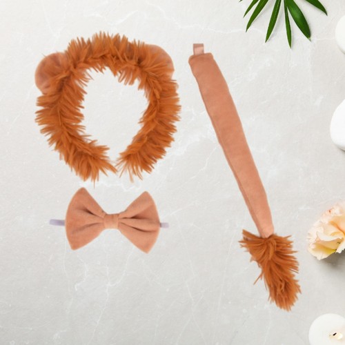 Kids lion costume - costume, set