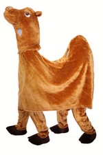 HIRE a  Pantomime Camel