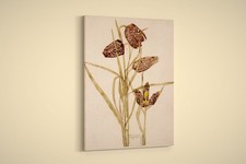 Charles Rennie Mackintosh -