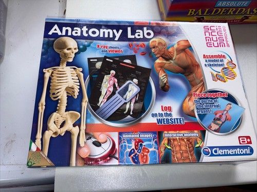 Anatomy lab skeleton xray - anatomy,