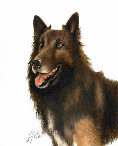 Original oil dog - original, portrait