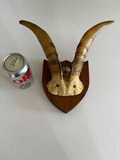 Antique Set of antelope horns
