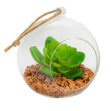 Hanging Glass Terrarium Small