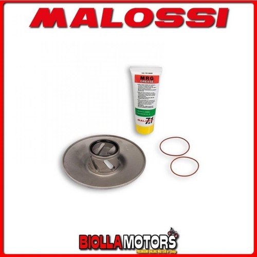 618317 malossi torque - 618317,