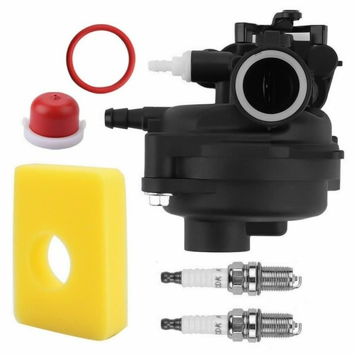 Carburetor carb 595656 591979 - carb,