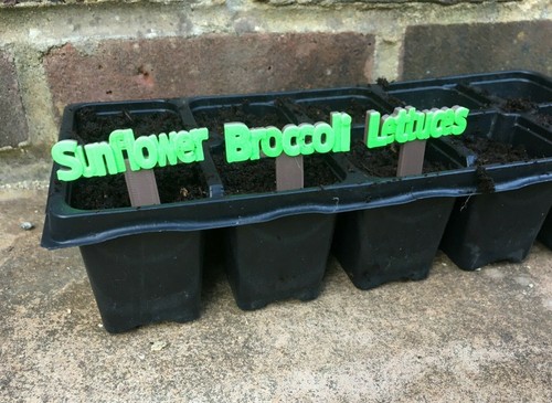 Seed tray stakes garden - seed, /