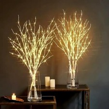 Set Of 2 White Birch Branch
