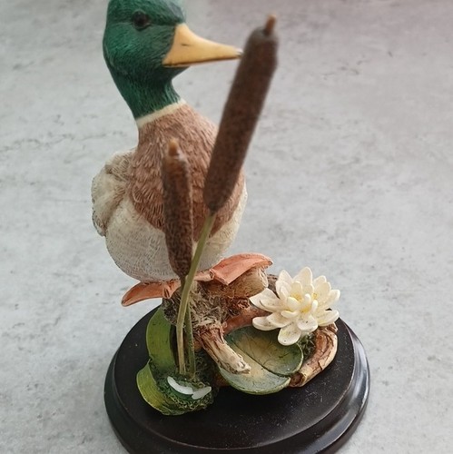Country artists mallard duck - artists,