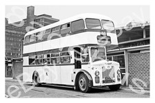 Bus Photograph SHEFFIELD C.T