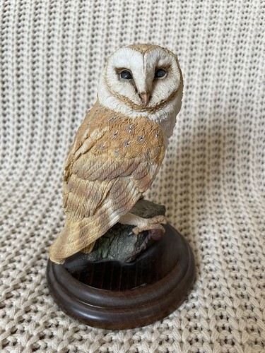 Country artists barn owl - artists,