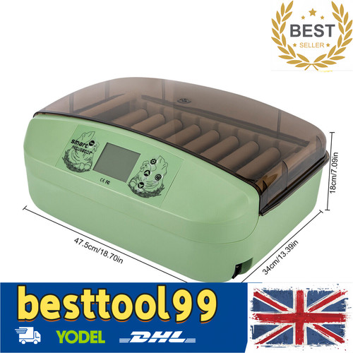 Eggs incubator temperature - 32,