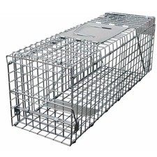 Rat trap squirrel - squirrel, duty