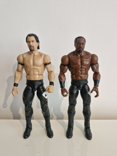 Wwe elite custom - custom, acolytes