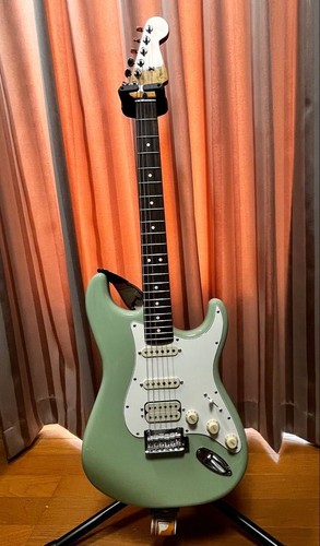Fender stratocaster player - player, ii