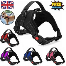 Dog Harness No Pull For Small