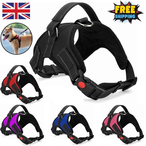 Dog harness pull for - no, small