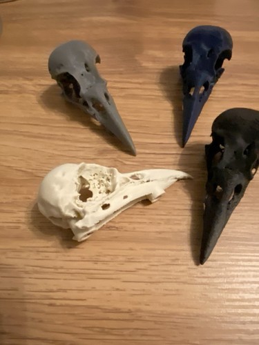 Replica crow skull handle door - skull,