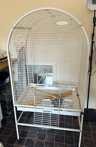 Large white metal wire bird - metal,