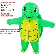 Green Turtle Tortoise
