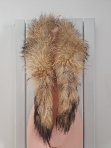 Luxury vintage real - vintage, raccoon
