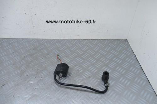 Ignition coil kawasaki 60 - coil,