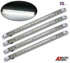 Marine White LED 12 volt