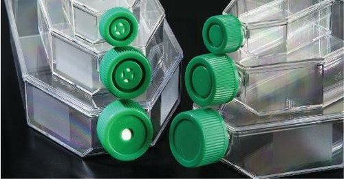 Spl cell culture - cell, 75
