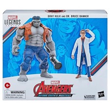 Gray Hulk and Dr. Bruce Banner F7084 6" Action Figures (Marvel Legends Series)