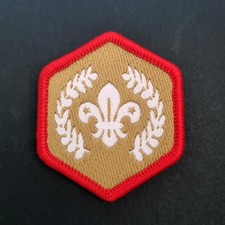 Chief scout gold award - chief,