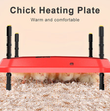 12" Chick Brooder Poultry Breeding Heating Plate for 20 Chicken Thermostat