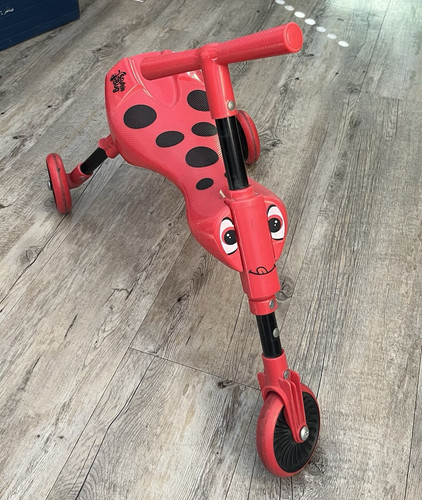 Scuttle bug red ladybird - red,
