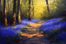 Bluebell Woodland Forest