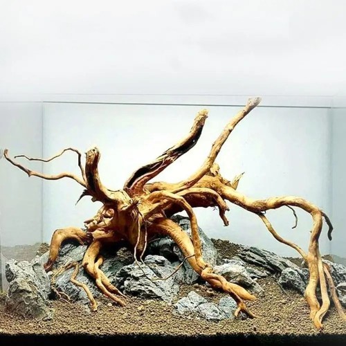 Natural aquarium driftwood - aquarium,