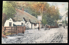 Vintage Postcard of The Cat