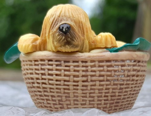 Puppy in my pocket - my,