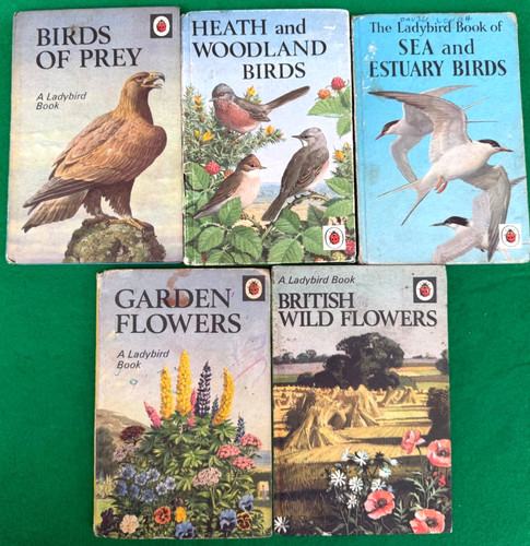 Vintage ladybird books - vintage,