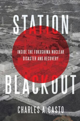 Station blackout inside the - blackout:,
