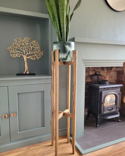 Meter tall oak - 1,